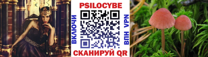Псилоцибиновые грибы Magic Shrooms  Скопин 